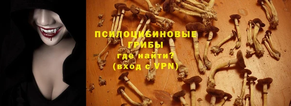 первитин Богданович