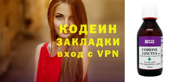 прущие грибы Всеволожск
