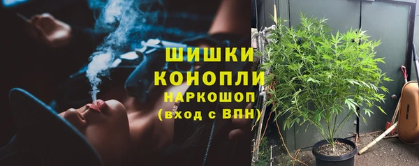 первитин Богданович